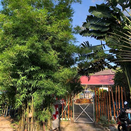 Shaka Garden House Langkawi Lejlighed Pantai Cenang  Eksteriør billede
